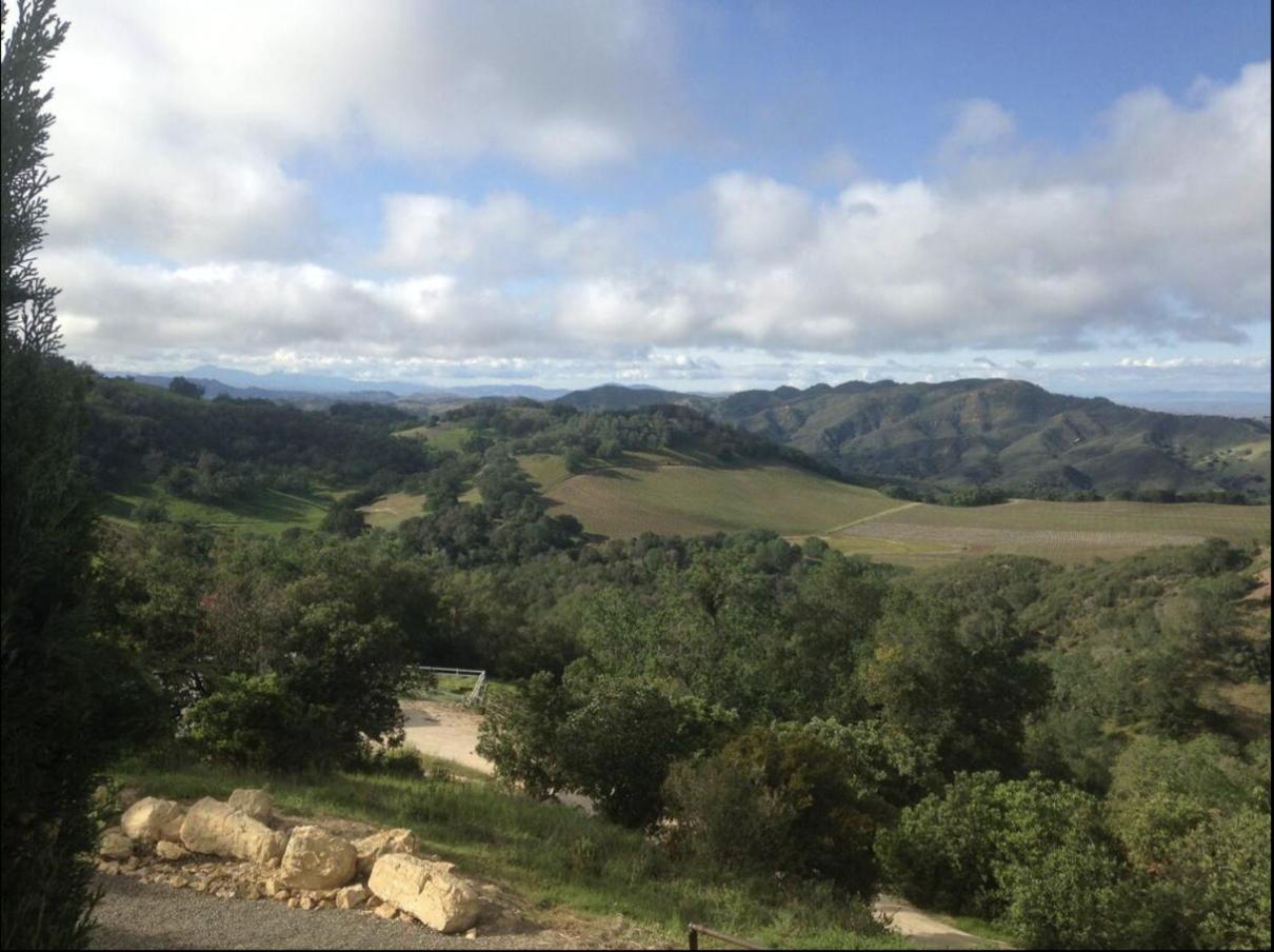 Lekai Ranch Forever Vineyard Views Adelaida Zewnętrze zdjęcie